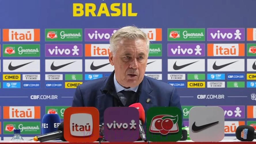 巴西和安帅担心米利唐伤势 预计球员四月份复出 巴西和安帅担心米利唐伤势 预计球员四月份复出